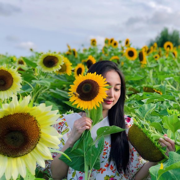 ivytrinh68